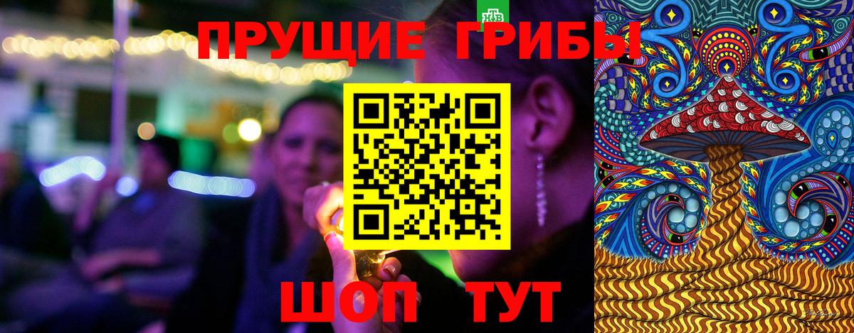 Псилоцибиновые грибы Psilocybe Южно-Сахалинск