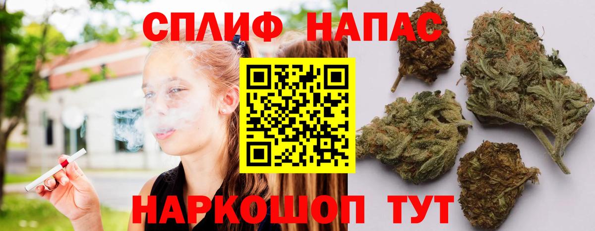 Конопля гибрид Южно-Сахалинск